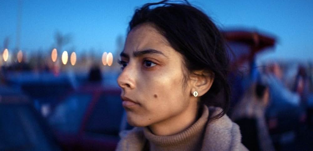 Animalia（原題）の画像