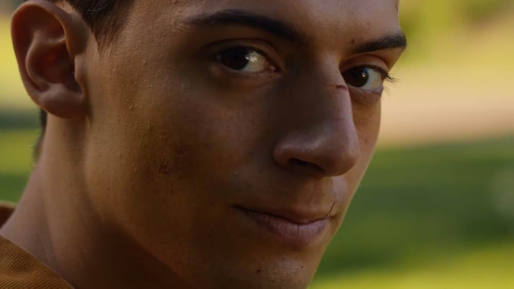 Sunflower（原題）の画像