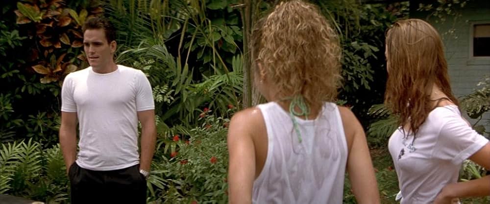 ワイルドシングスの画像