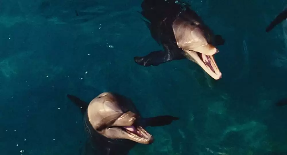 愛しのアクアマリンの画像