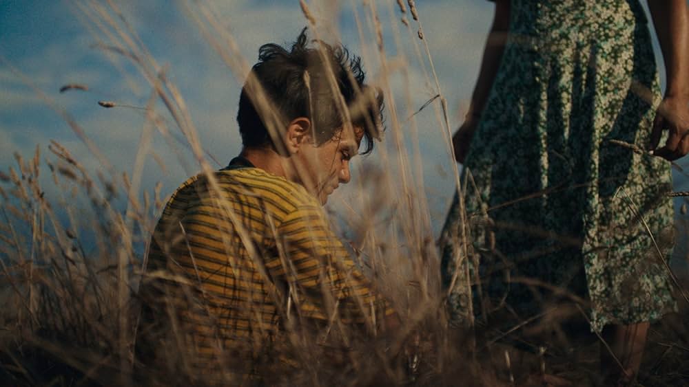 打ちて寄せるの画像