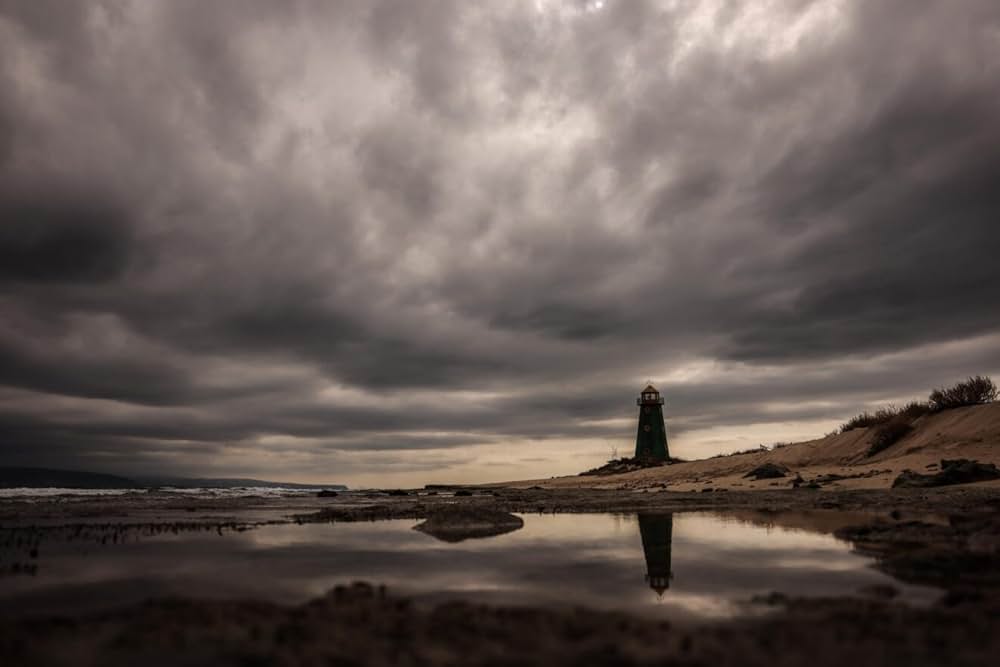 打ちて寄せるの画像