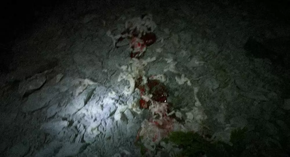 トロール・ハンターの画像