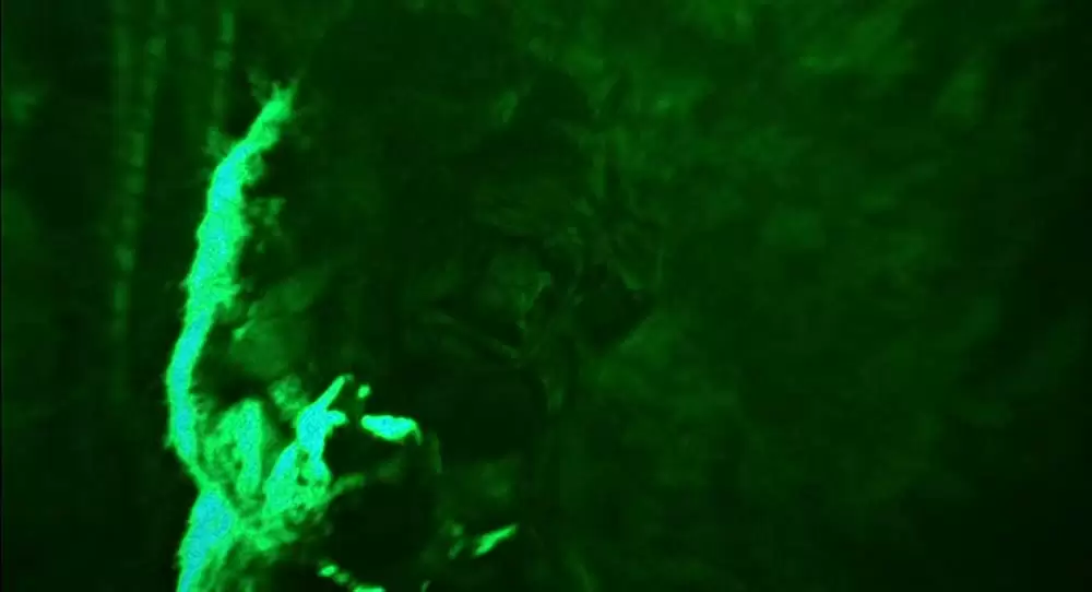 トロール・ハンターの画像