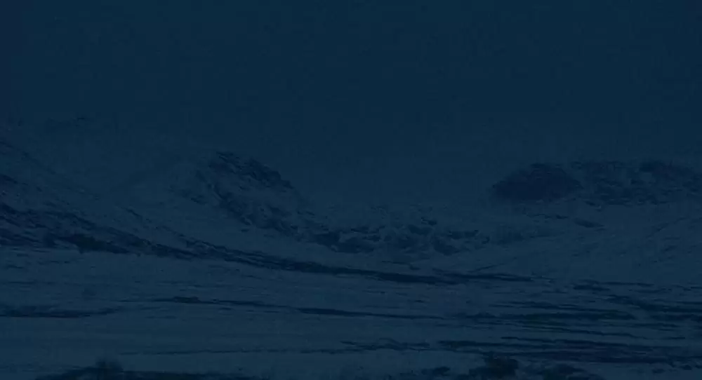 トロール・ハンターの画像