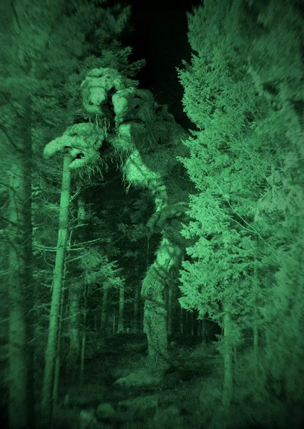 トロール・ハンターの画像