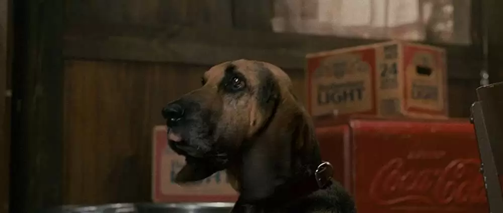 メラニーは行く！の画像