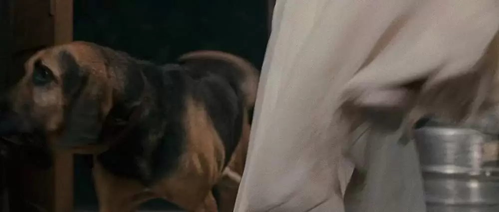 メラニーは行く！の画像