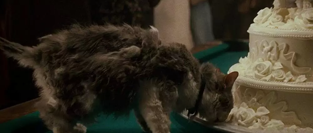 メラニーは行く！の画像