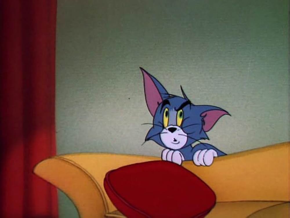 可愛い子猫と思ったらの画像