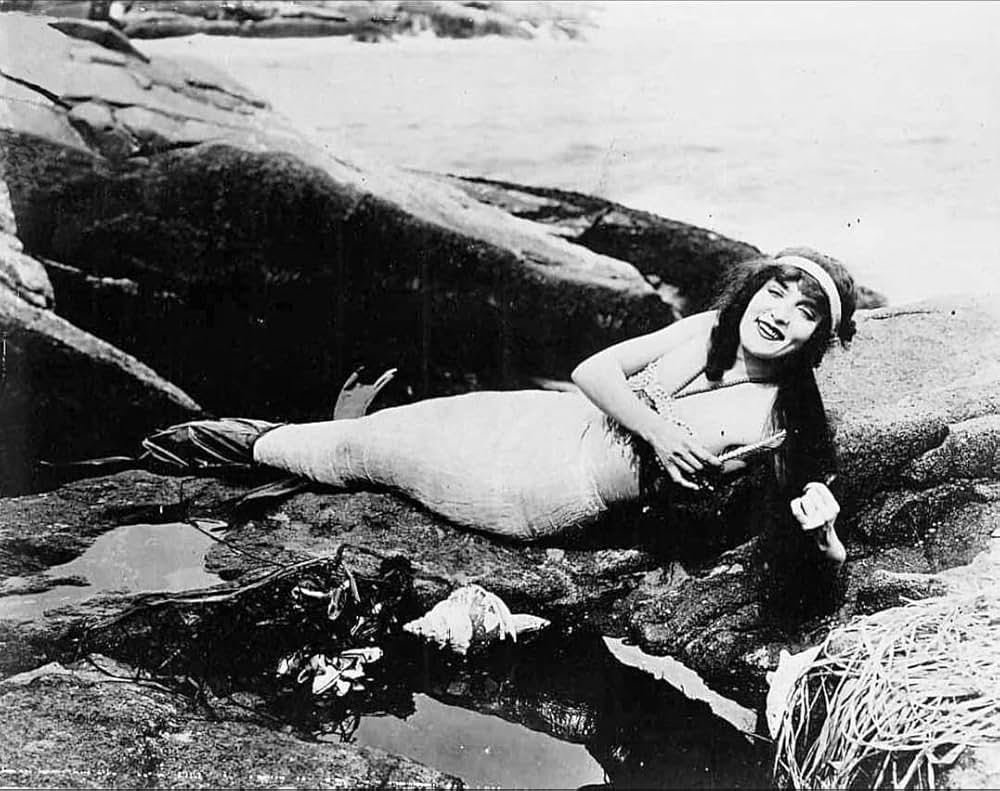 海の女皇の画像