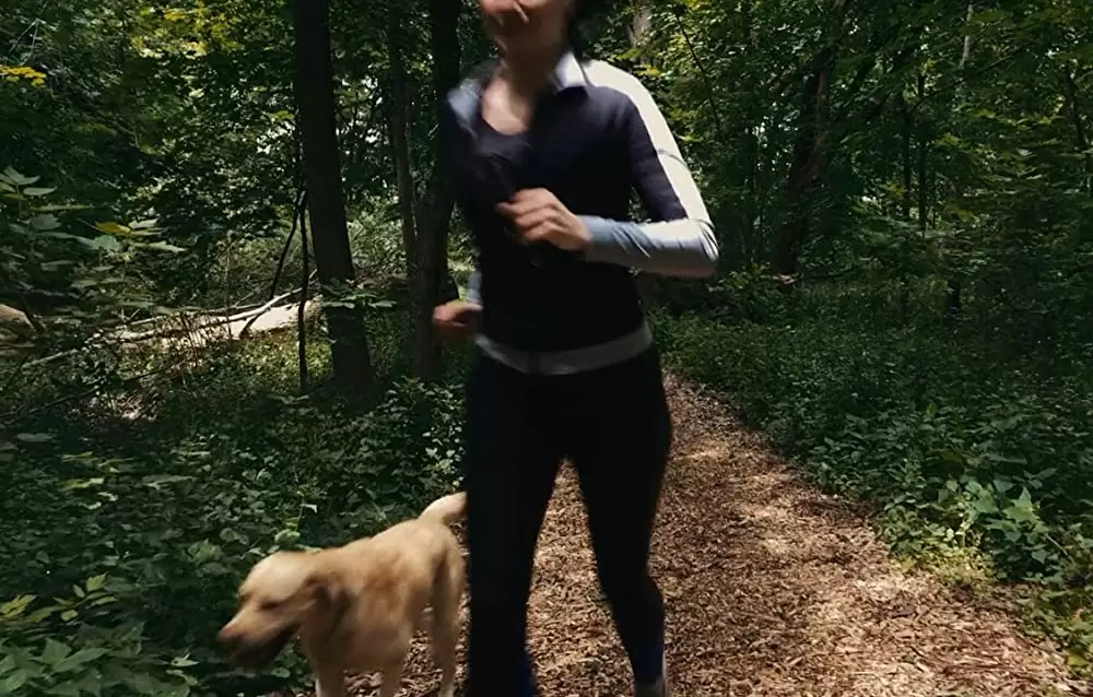 アンセイン ~狂気の真実~の画像