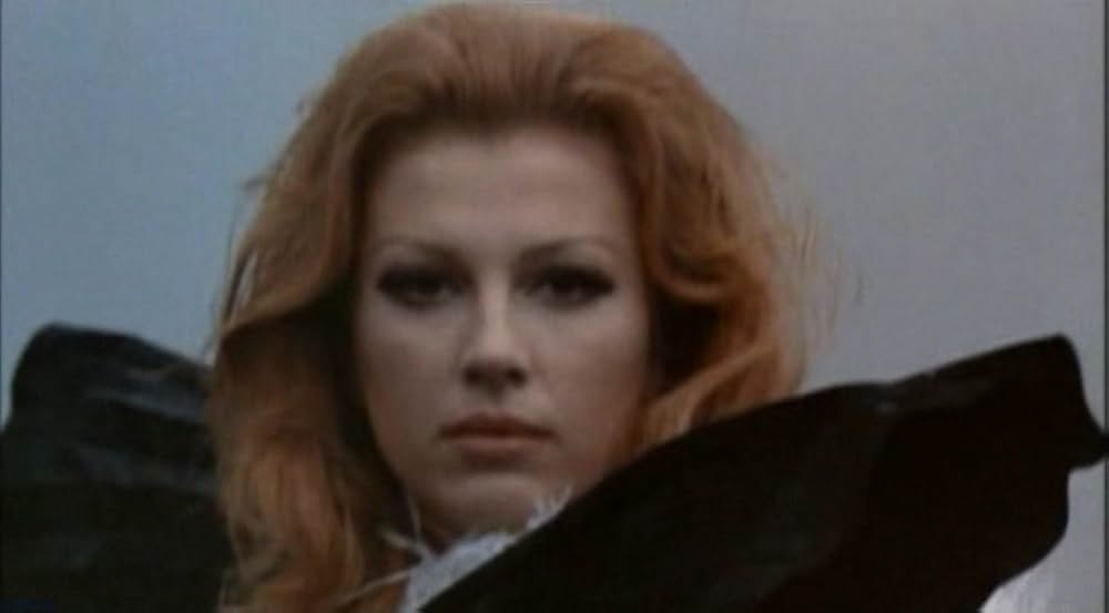 ＳＥＸ白／黒の画像