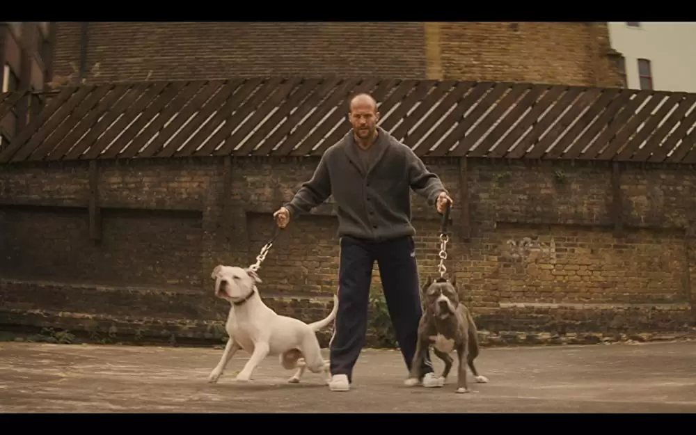 ブリッツの画像