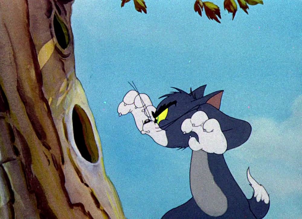 目茶苦茶ゴルフの画像