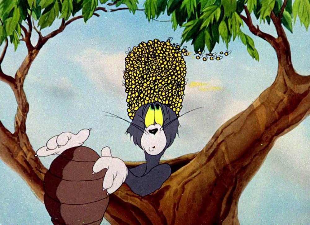 目茶苦茶ゴルフの画像