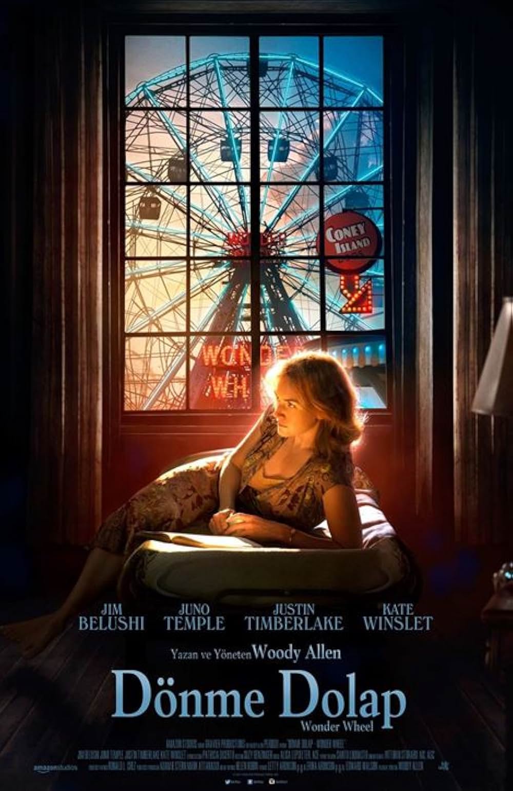 女と男の観覧車の画像