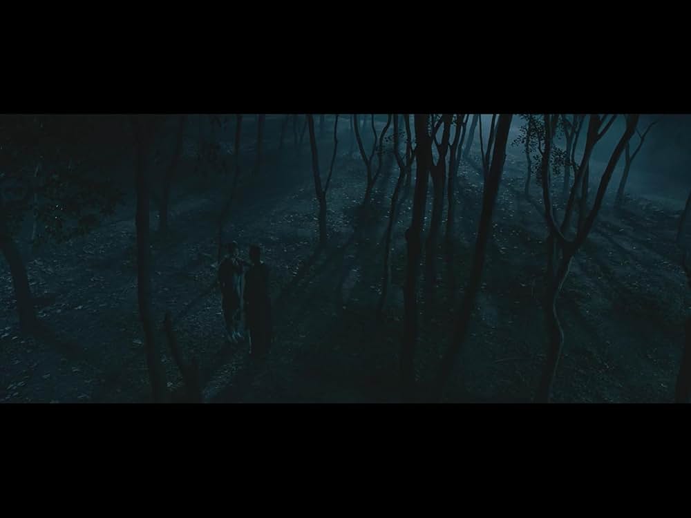 ライズ・オブ・ザ・レジェンド 炎虎乱舞の画像