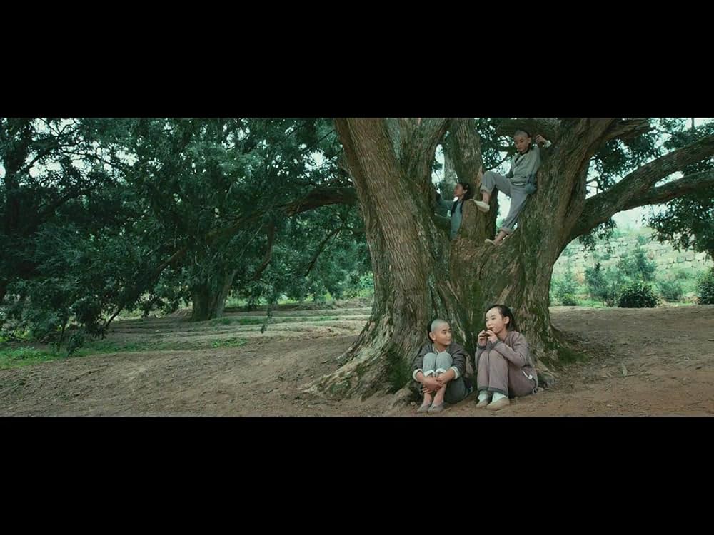 ライズ・オブ・ザ・レジェンド 炎虎乱舞の画像