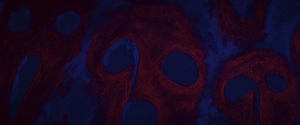 The Cellar（原題）の画像