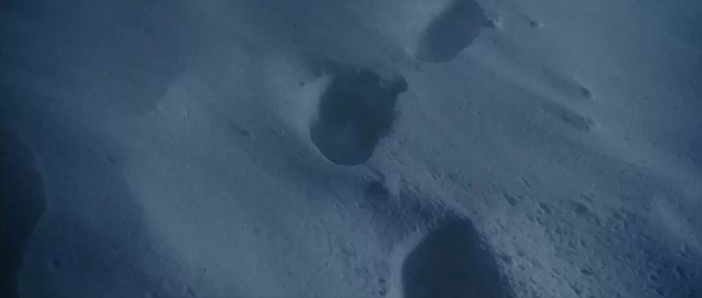 ウェイバック 脱出6500kmの画像