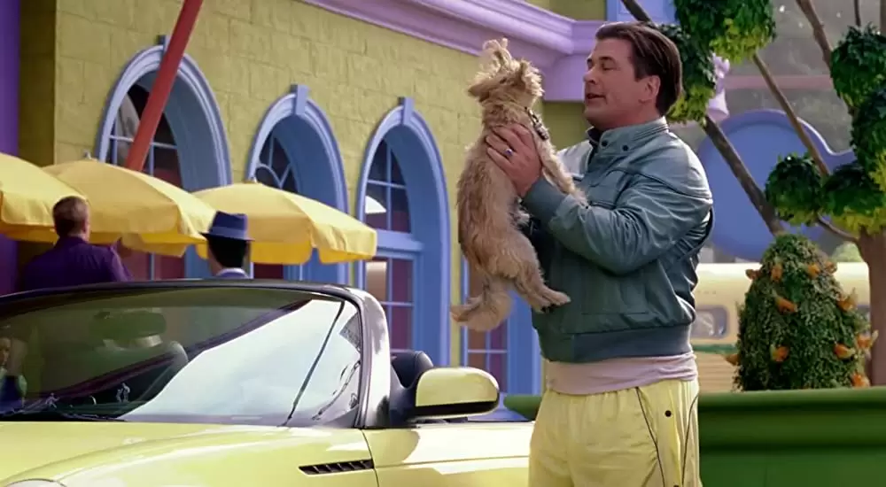 ハットしてキャットの画像