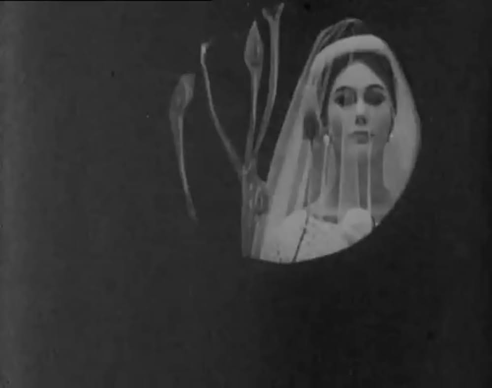 シュメールグンツの画像