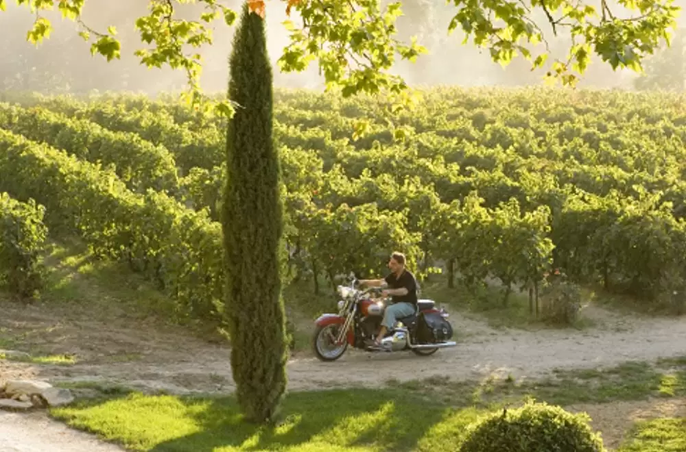 プロヴァンスの贈りものの画像