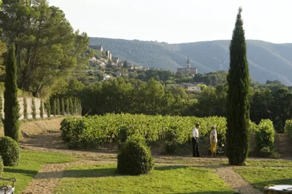 プロヴァンスの贈りものの画像