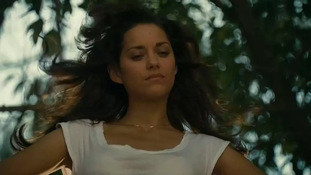 プロヴァンスの贈りものの画像