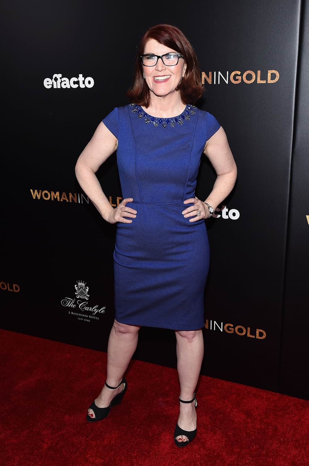 黄金のアデーレ 名画の帰還の画像