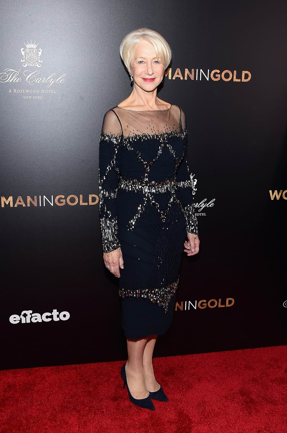 黄金のアデーレ 名画の帰還の画像