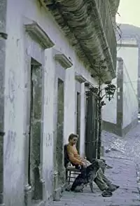 ザ・メキシカンの画像