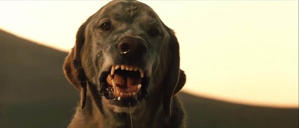 ザ・メキシカンの画像