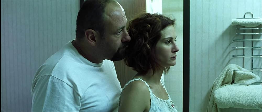 ザ・メキシカンの画像