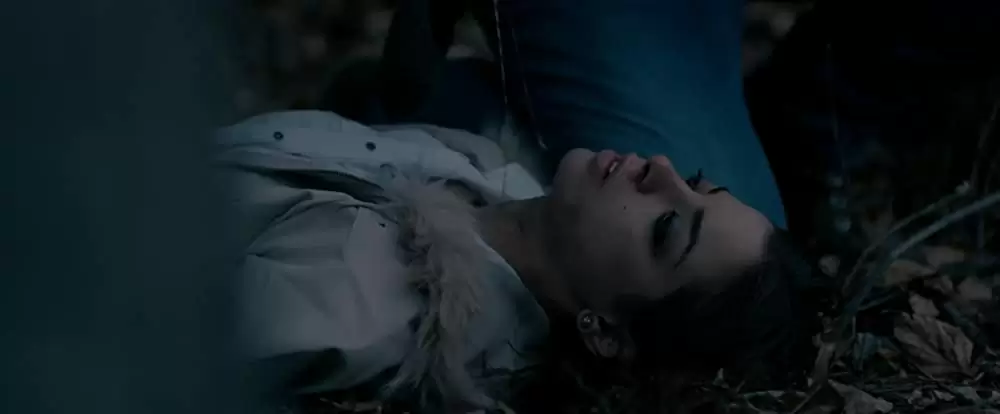 フローズン・グラウンドの画像