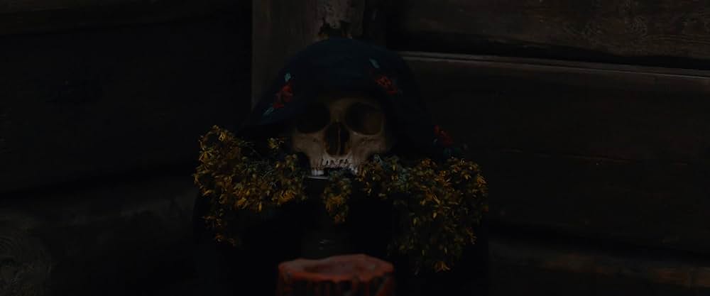 Hagazussa（原題）の画像