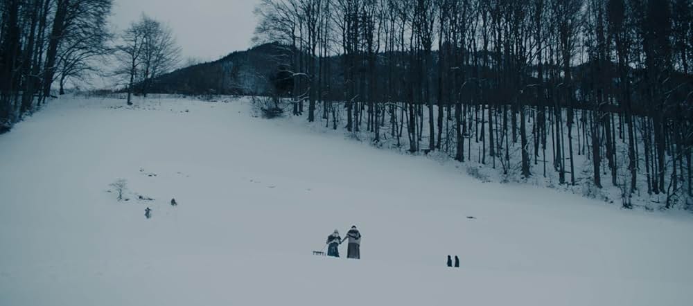 Hagazussa（原題）の画像