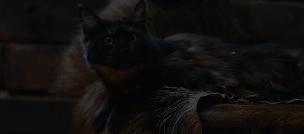 Hagazussa（原題）の画像