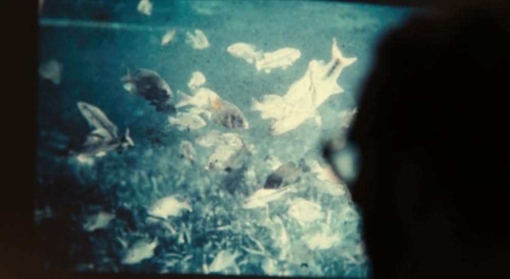 The Comedy（原題）の画像