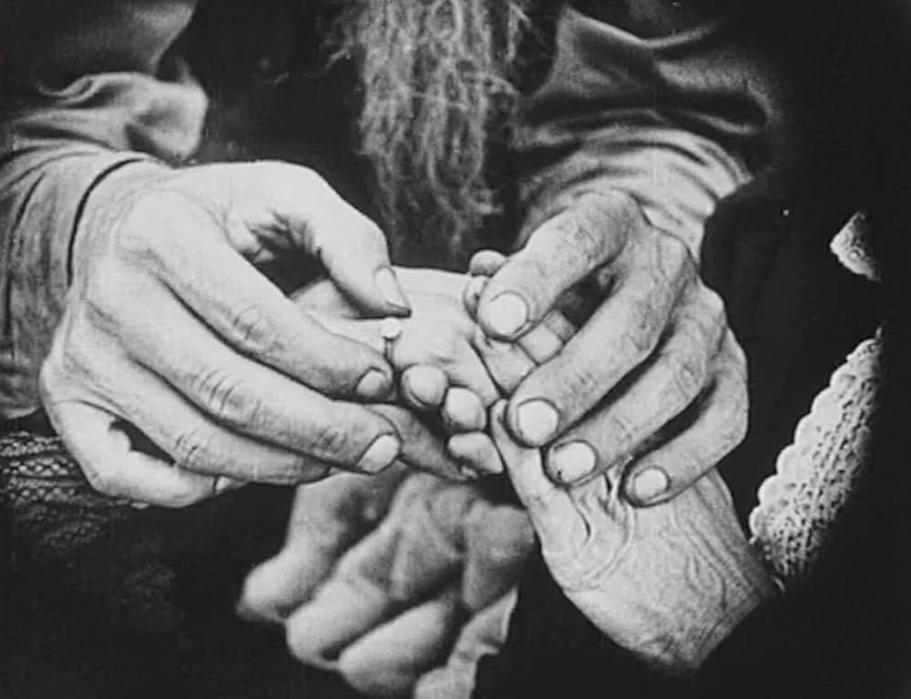 飼葉の種／にぎやか雑貨店の画像