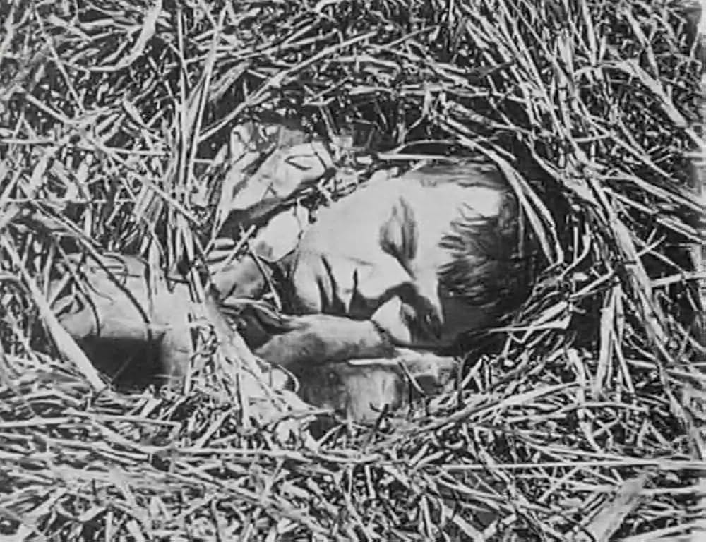 飼葉の種／にぎやか雑貨店の画像