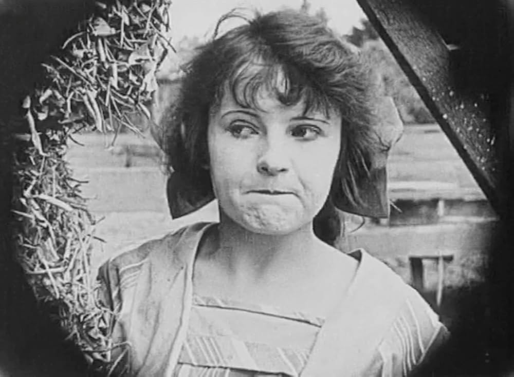 飼葉の種／にぎやか雑貨店の画像