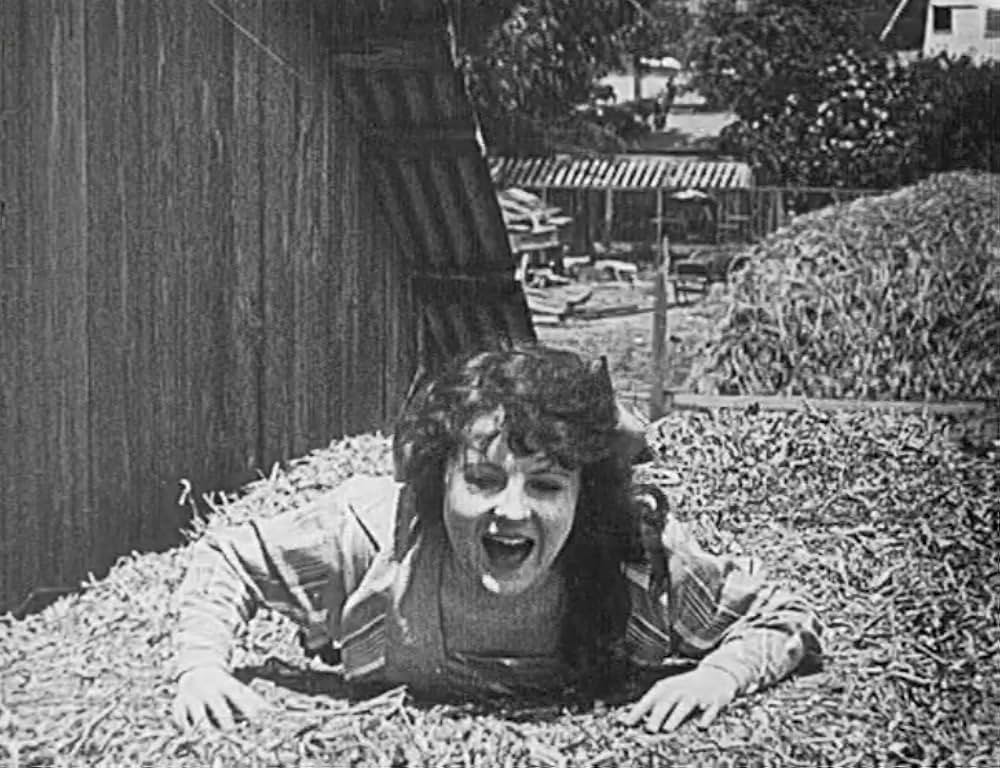 飼葉の種／にぎやか雑貨店の画像