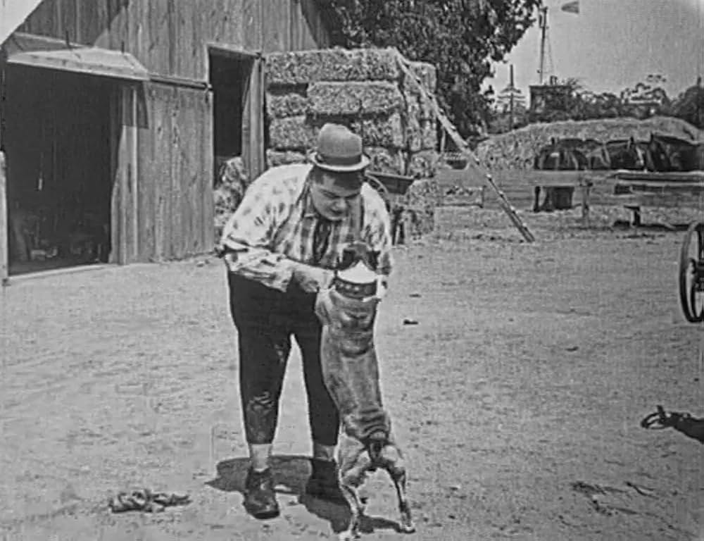 飼葉の種／にぎやか雑貨店の画像