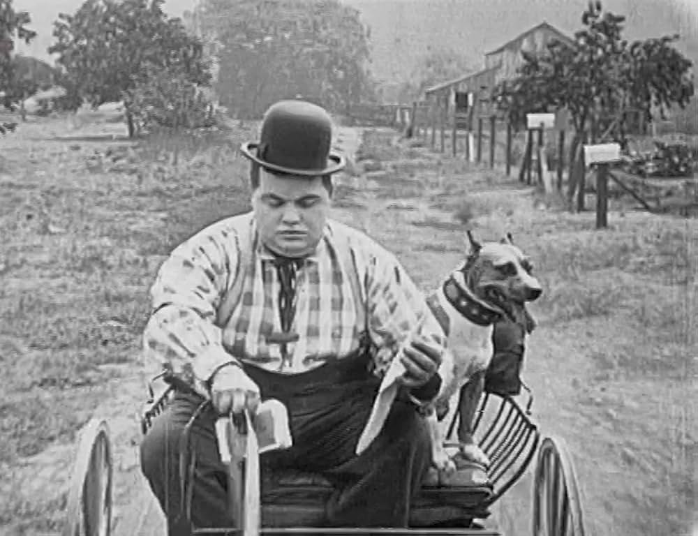 飼葉の種／にぎやか雑貨店の画像