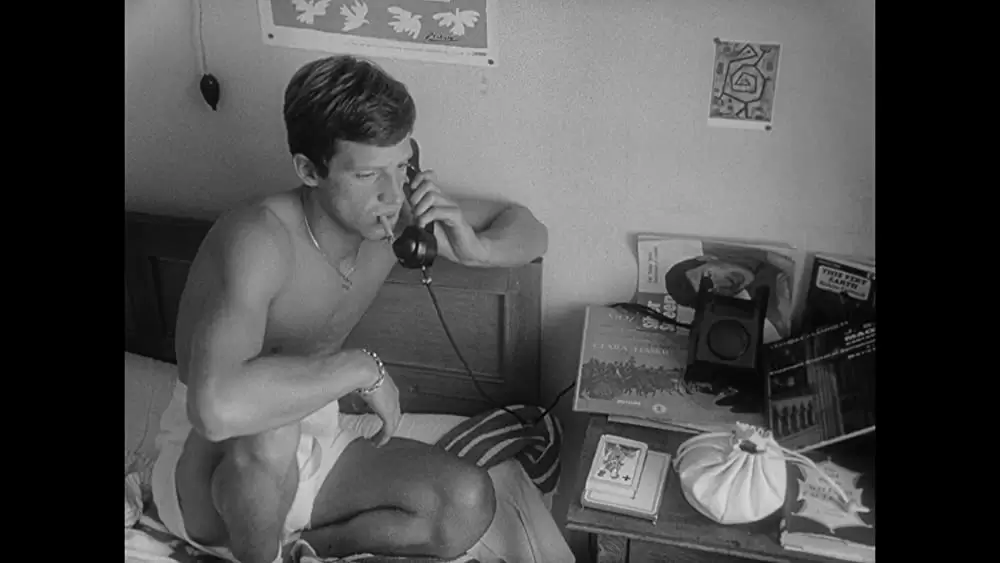 「勝手にしやがれ」の画像