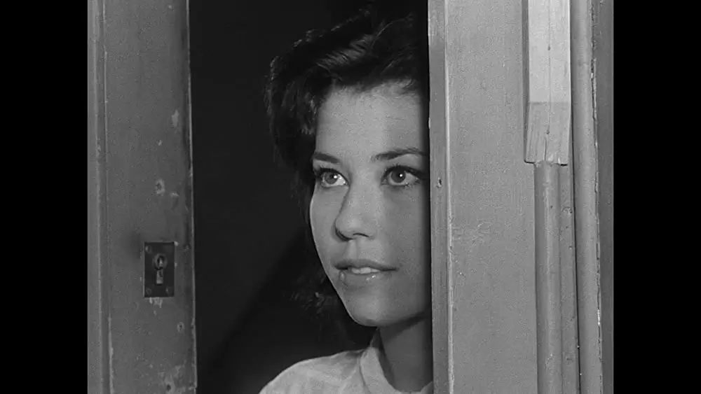 「勝手にしやがれ」の画像