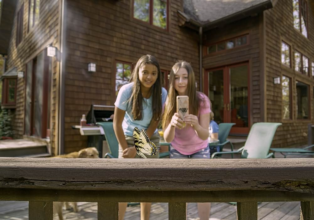 裏庭の風景 身近なワイルドライフの画像