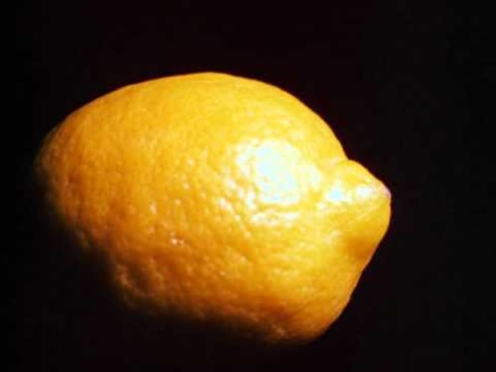 「Lemon（原題）」の画像